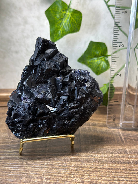 Black Fluorite