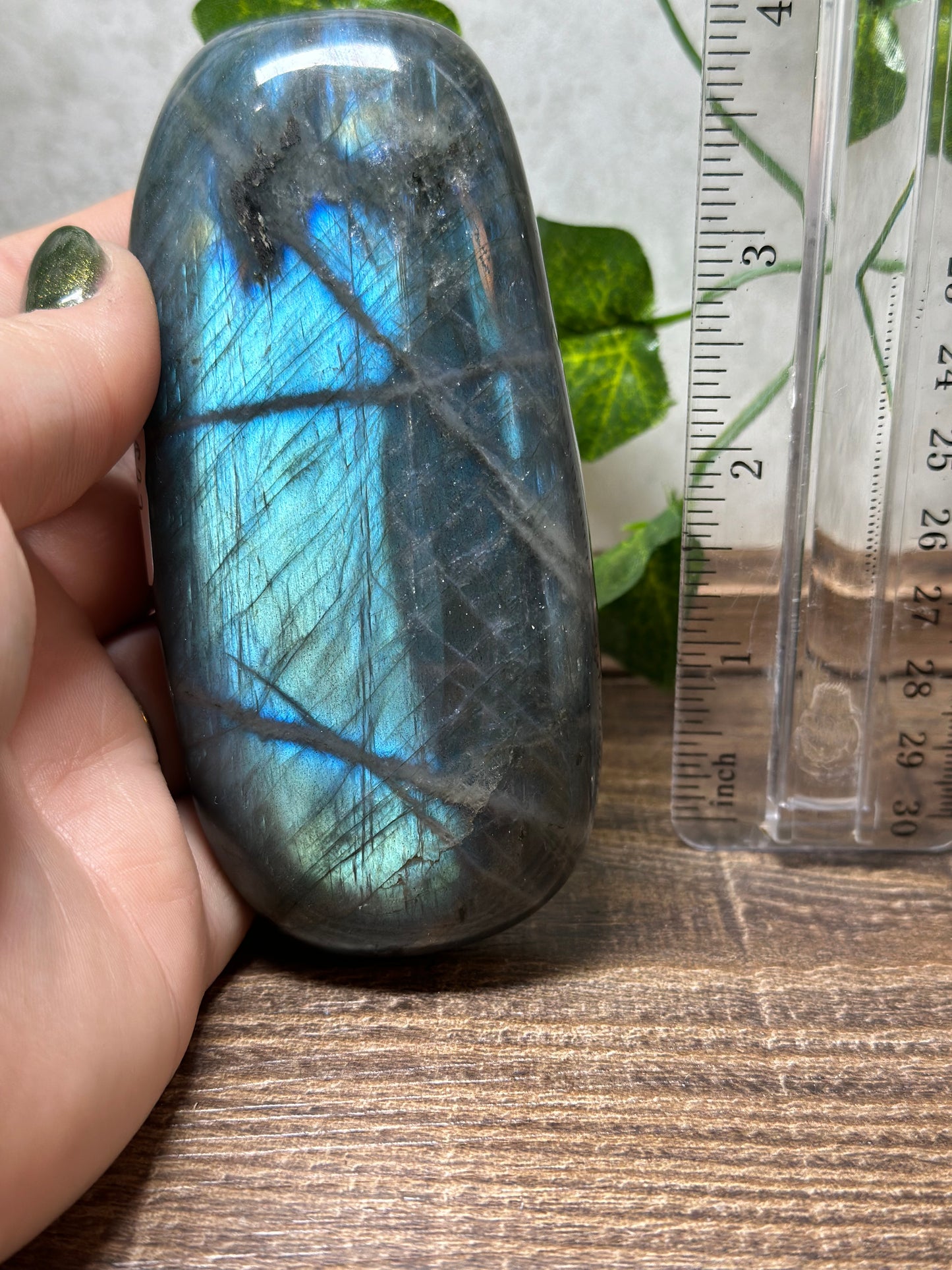 Labradorite Palm