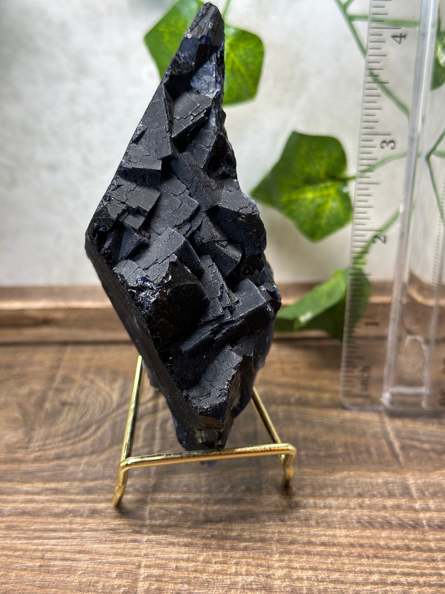 Black Fluorite