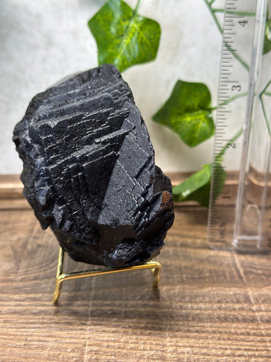 Black Fluorite