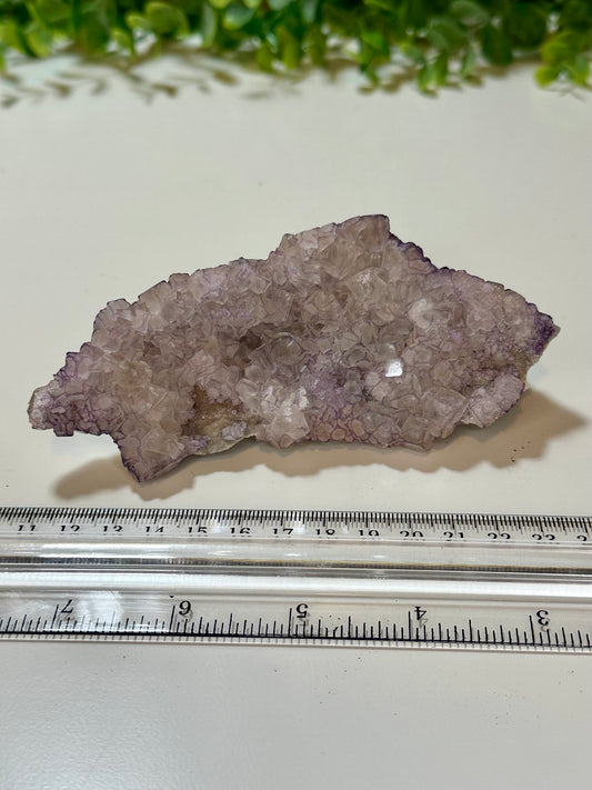 Purple Fluorite