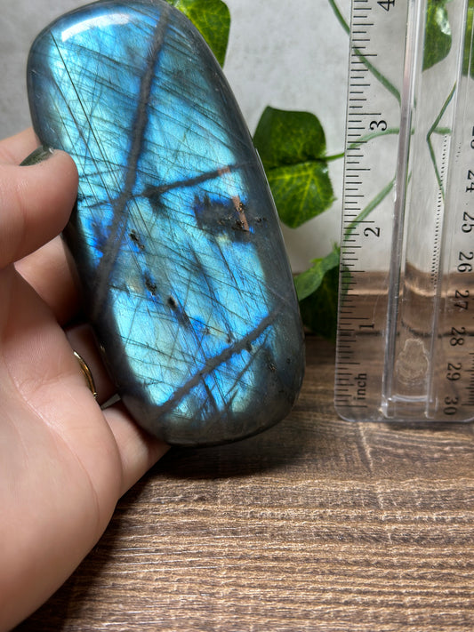 Labradorite Palm