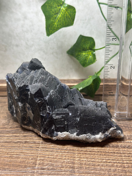 Black Fluorite