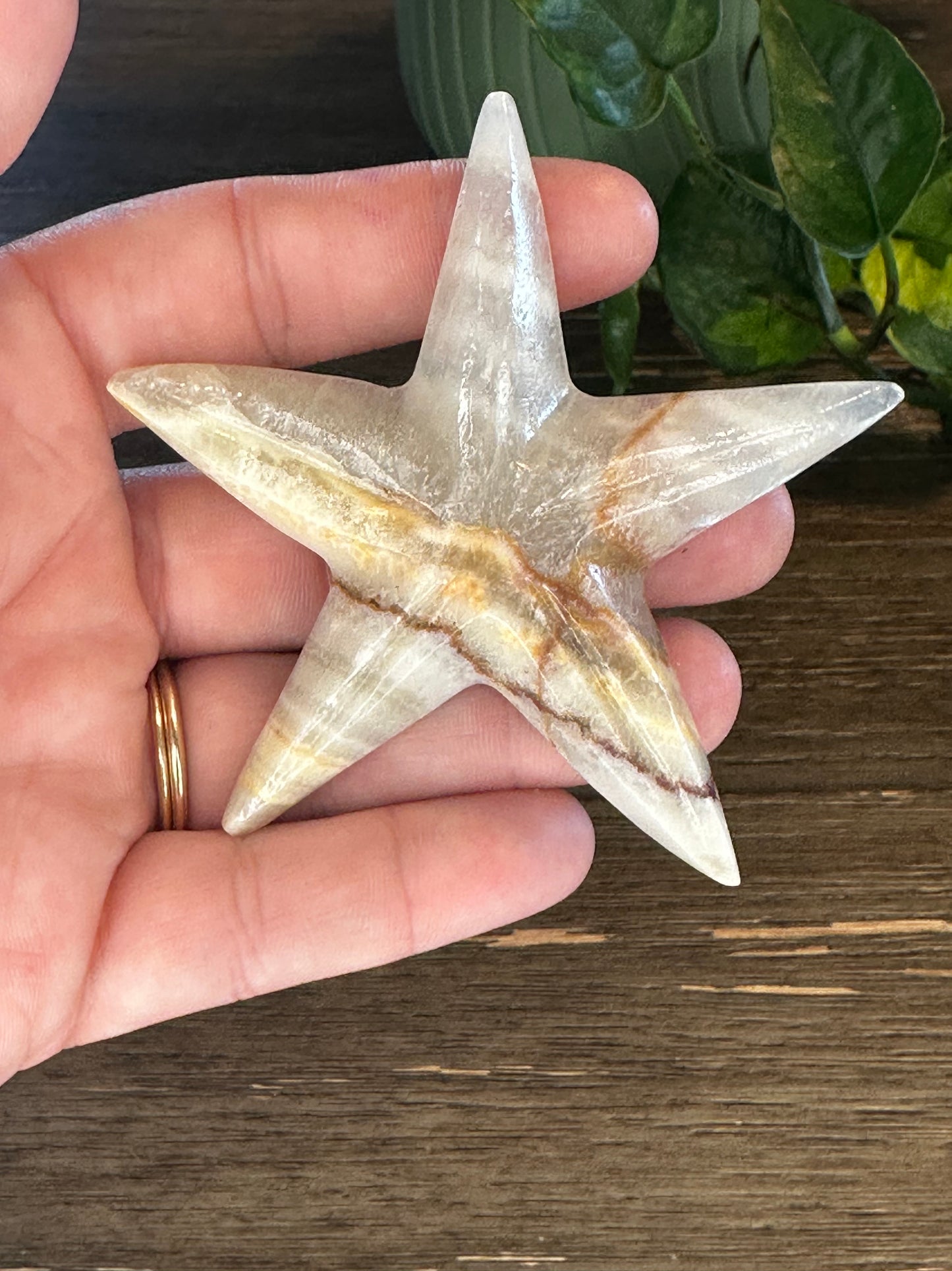 Onyx Starfish