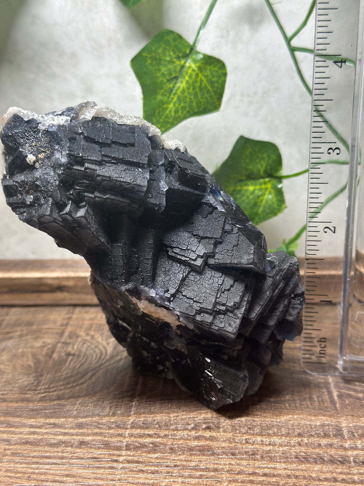 Black Fluorite